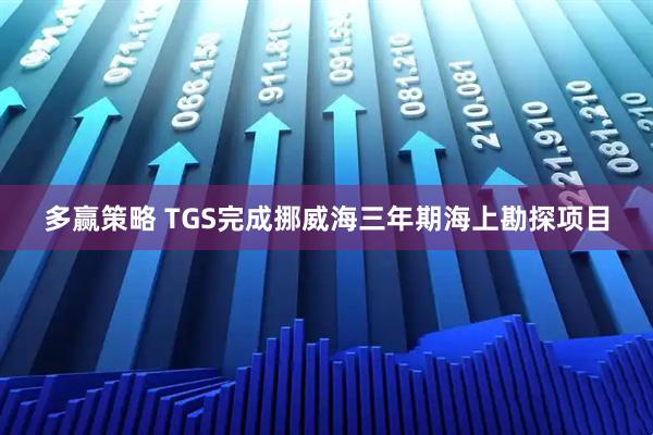 多赢策略 TGS完成挪威海三年期海上勘探项目