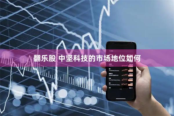 翻乐股 中坚科技的市场地位如何